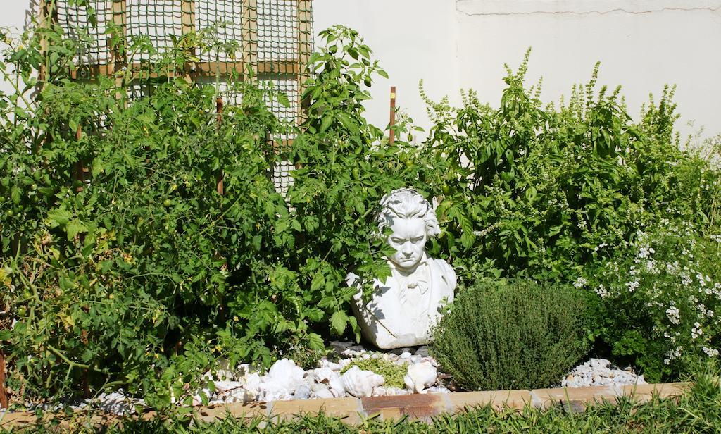 Le Marina B&B Фелддриф Экстерьер фото